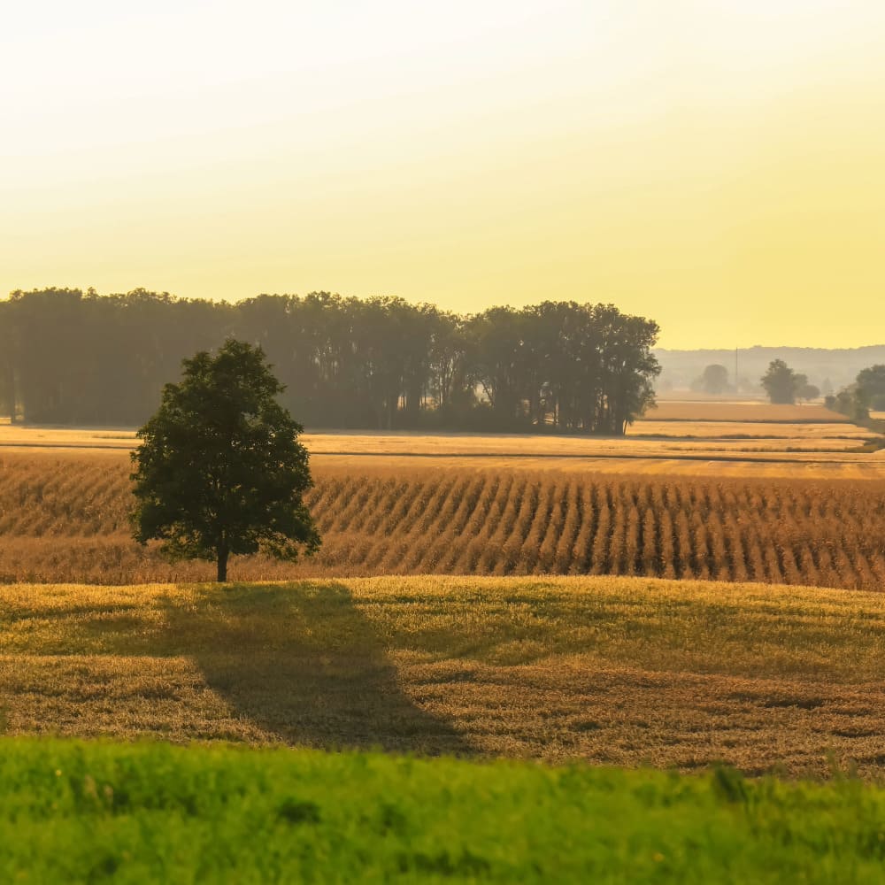Land management on rural estate